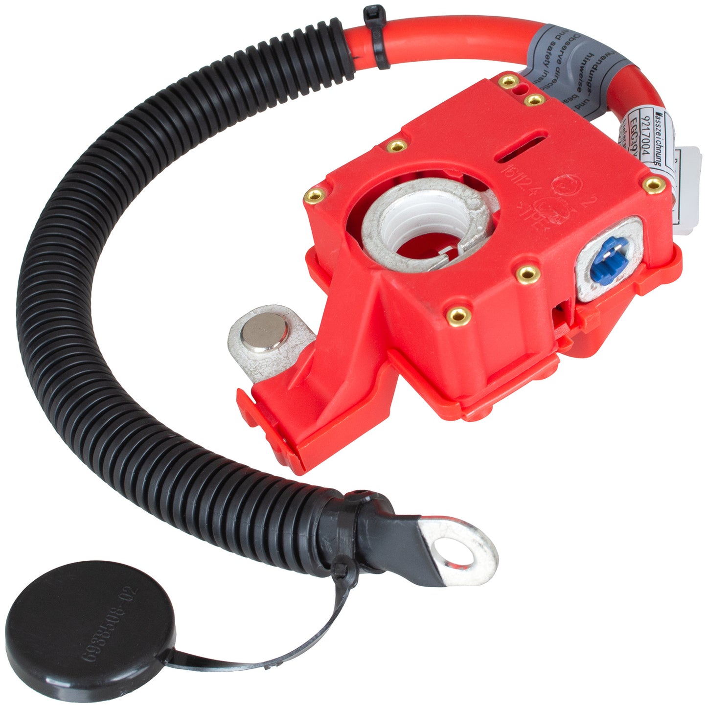 Terminale positivo della batteria BMW X6 E71 08-14