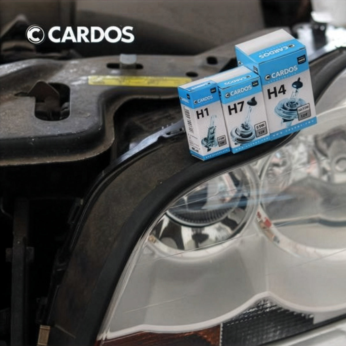 K2 CARDOS Żarówka H1 12V 55W P14,5s AH115